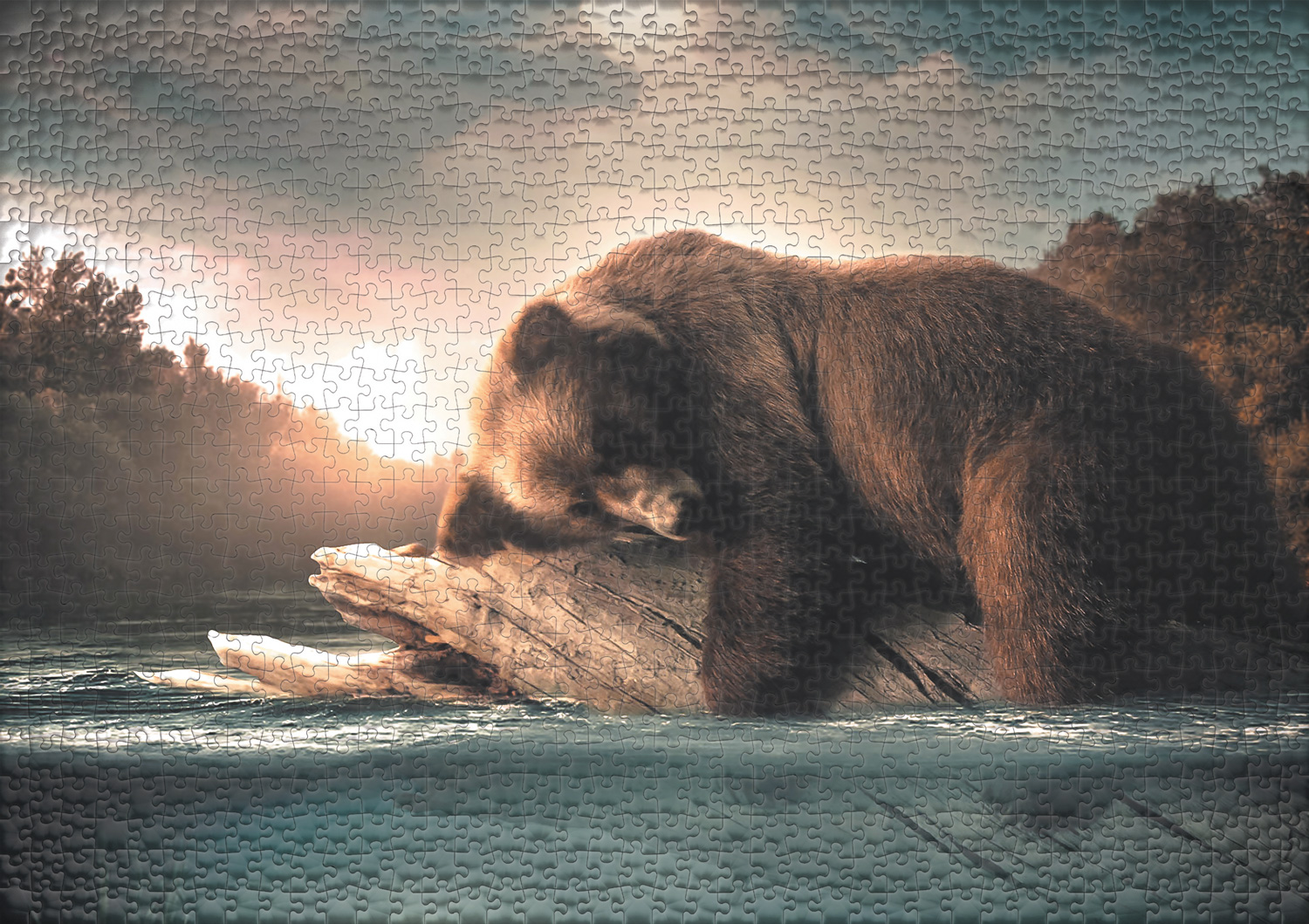 Obrazek puzzli