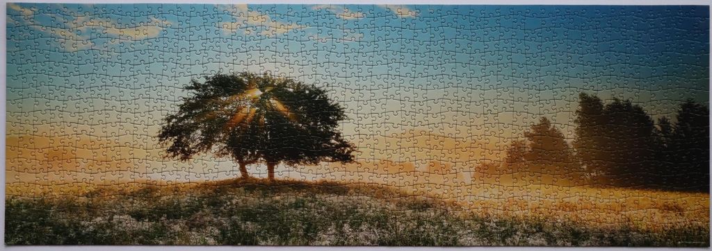 Obrazek puzzli