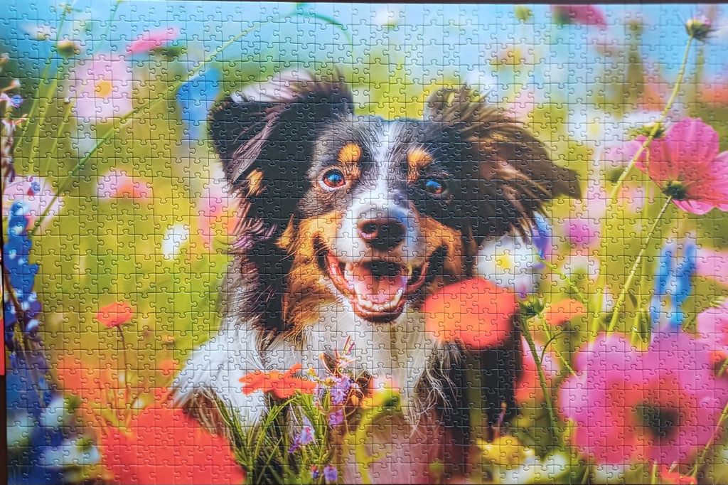 Obrazek puzzli