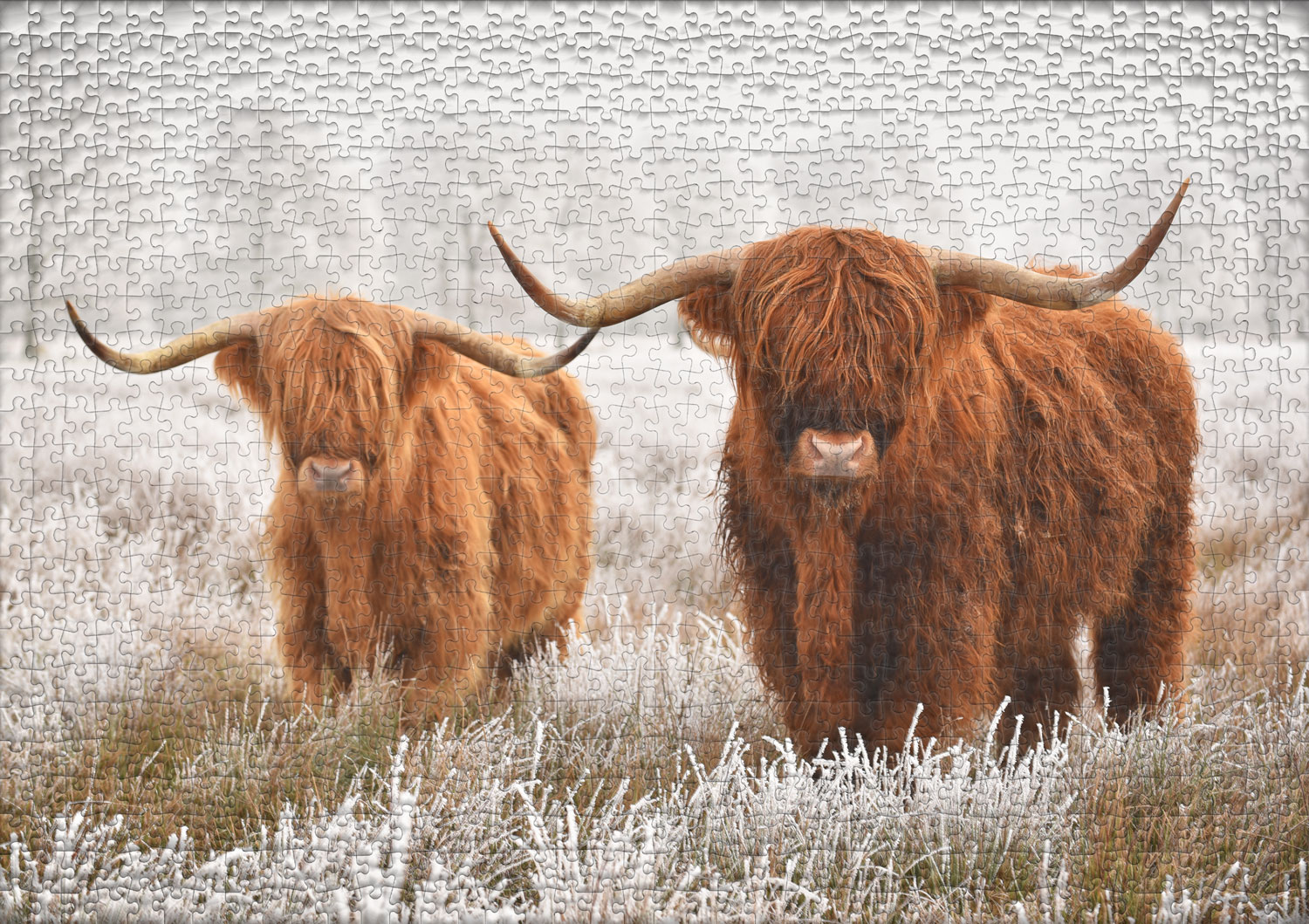 Obrazek puzzli