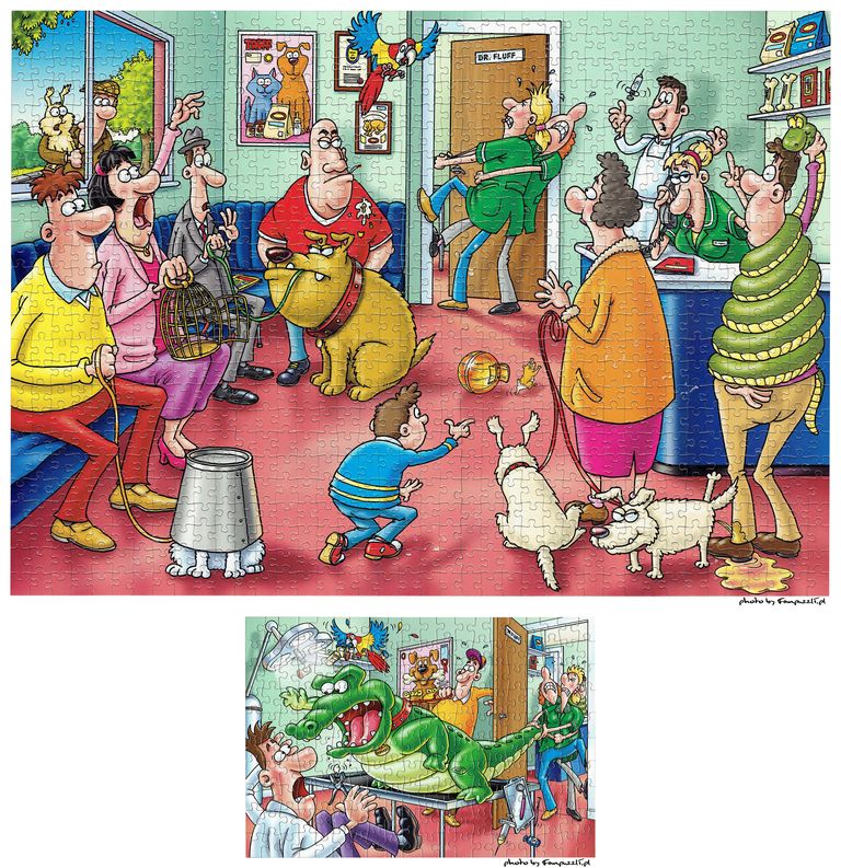 Powiększony obrazek puzzli