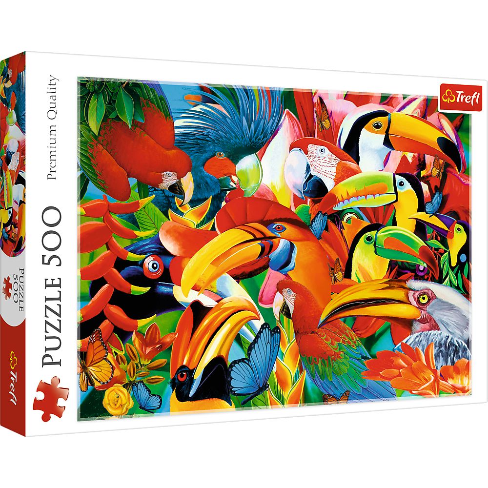 Colorful Birds