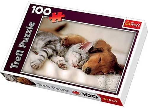 Sleeping Puppies
