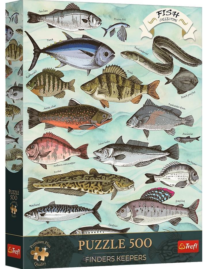 Fish Collection