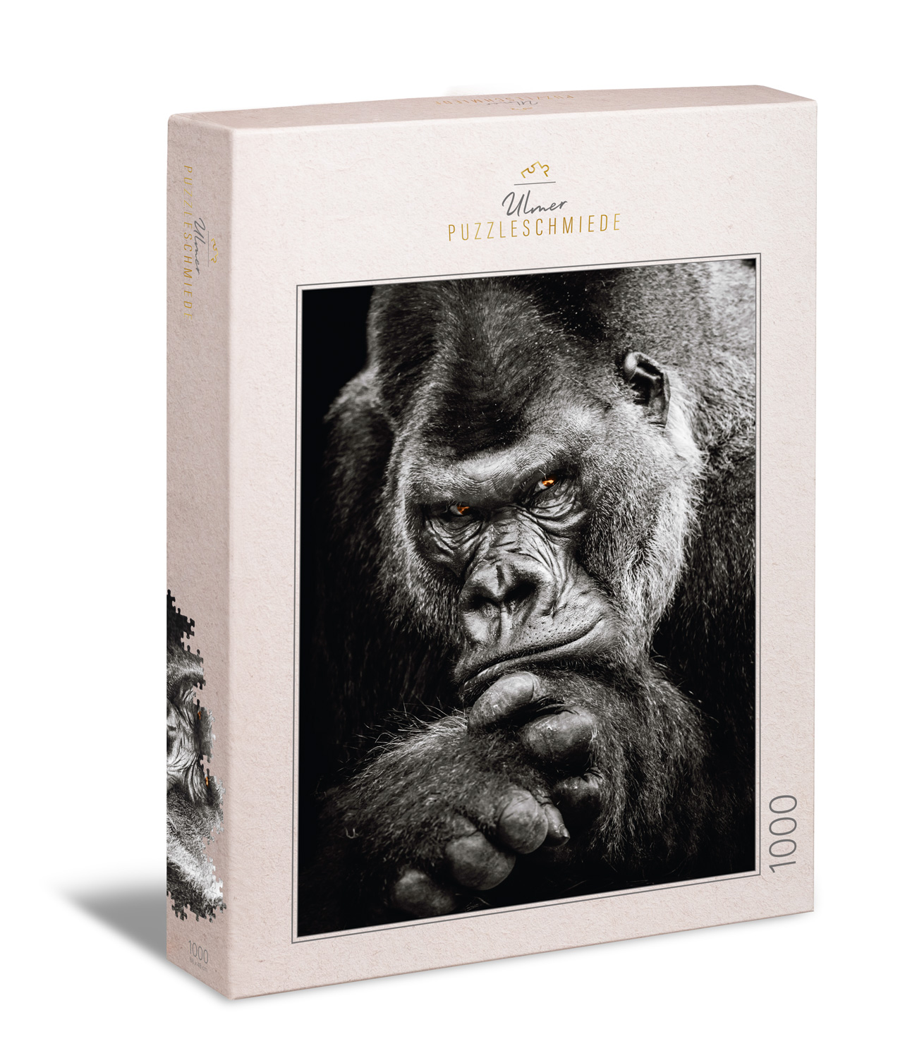 Silverback Gorilla