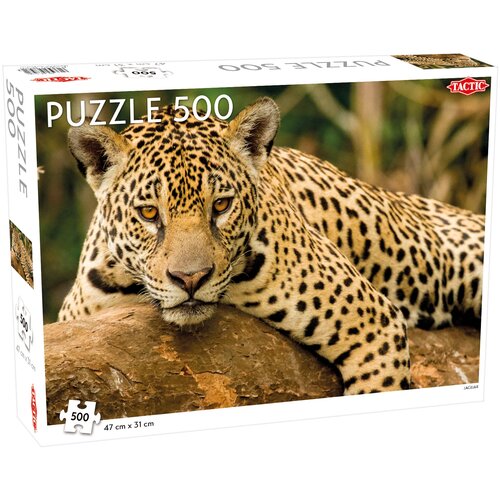 Jaguar