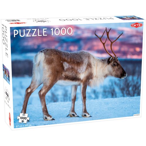 Reindeer