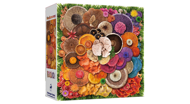 Mushroom