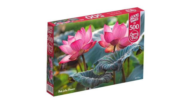 Pink Lotus Flowers