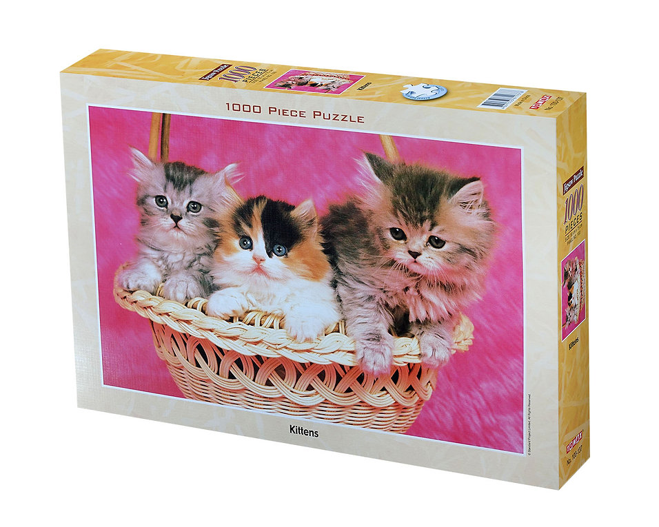 Kittens