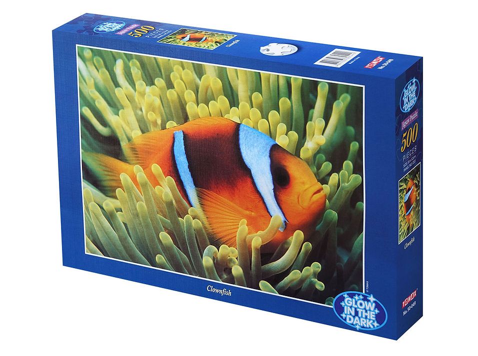 Clownfish
