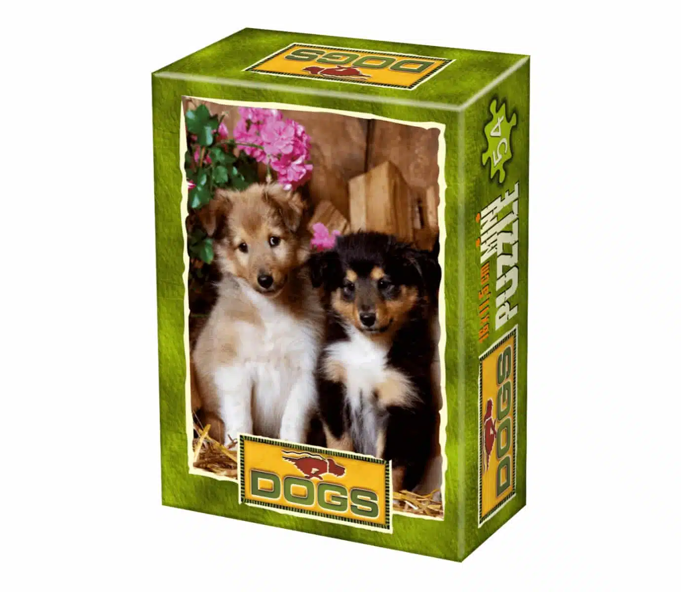 Shetland Sheepdog Puppies
