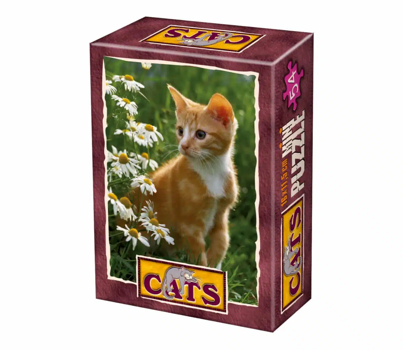 Cat 4