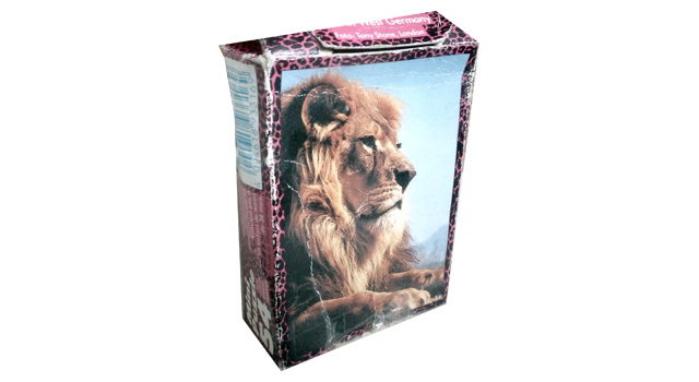 Lion