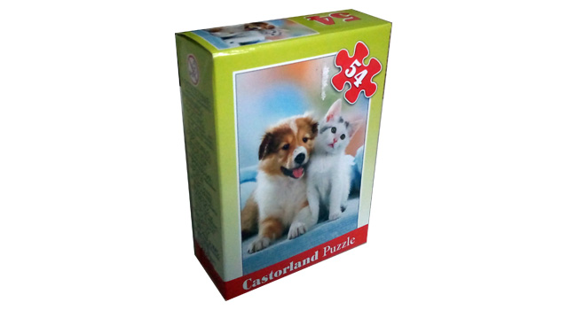 Dog & Cat