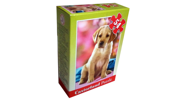 Labrador Retriever Puppy