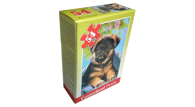 German Shepherd Puppy