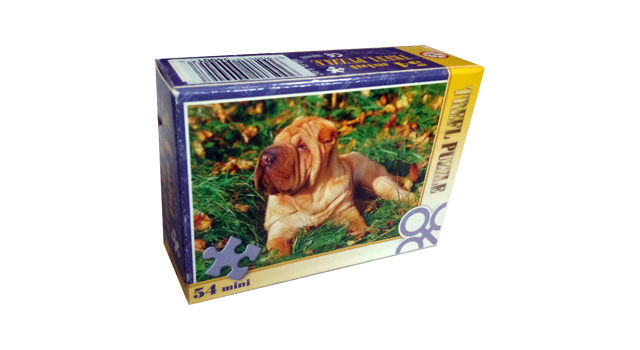 Shar Pei Puppy