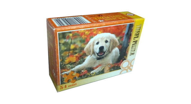 Labrador Retriever Puppy