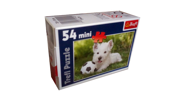 West Highland White Terrier Puppy