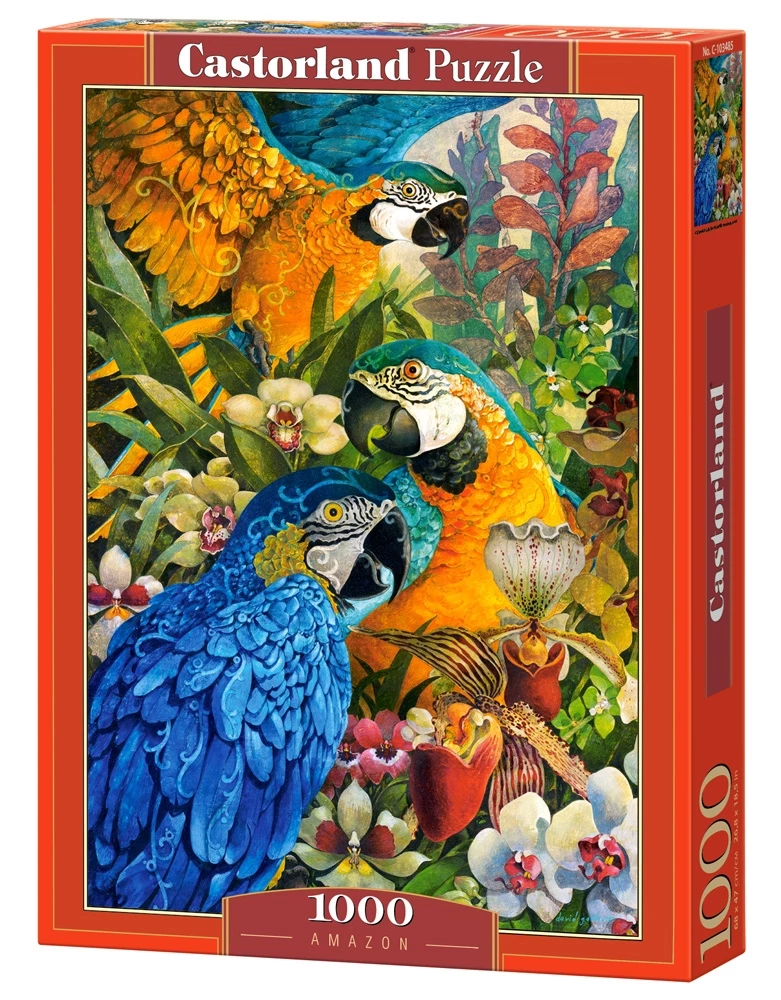 Amazon