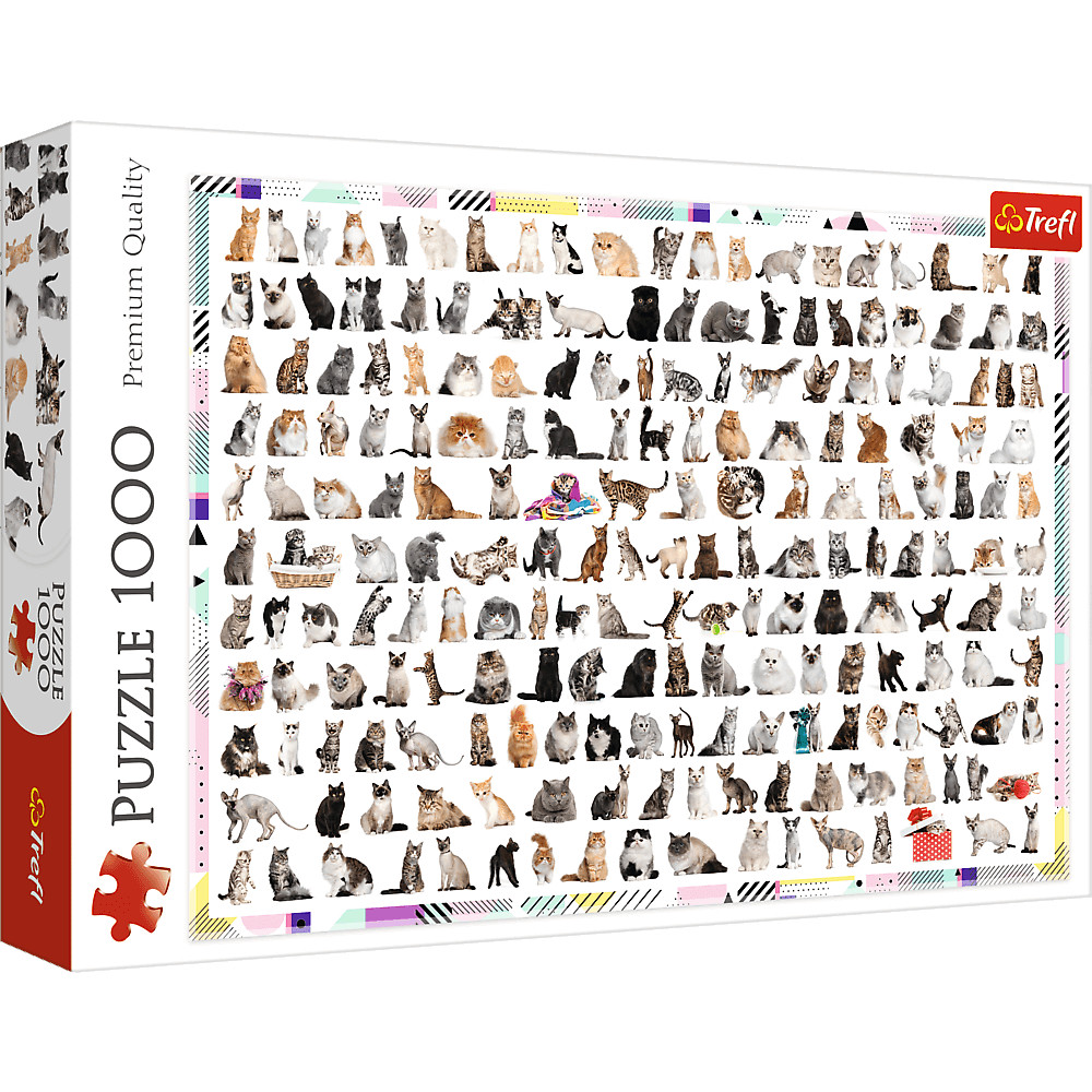208 Cats