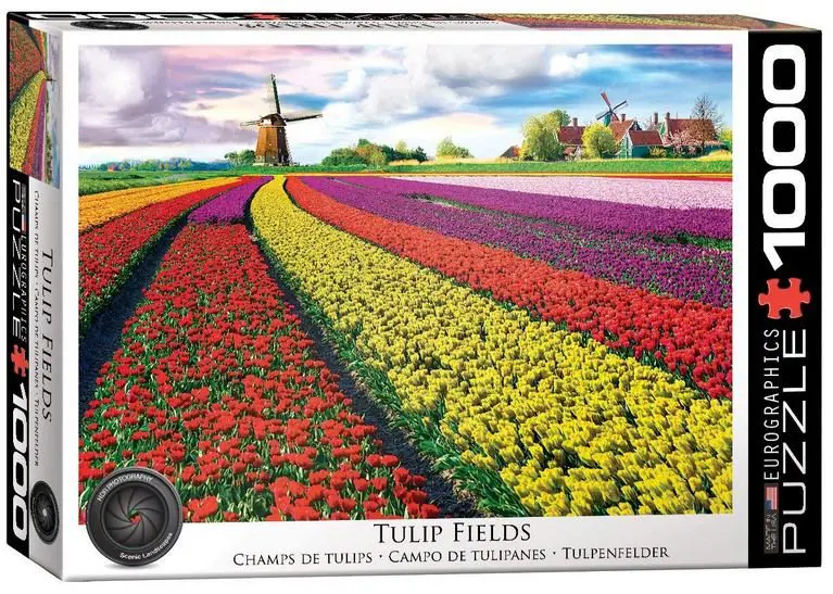 Tulip Fields