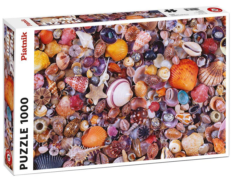 Seashells