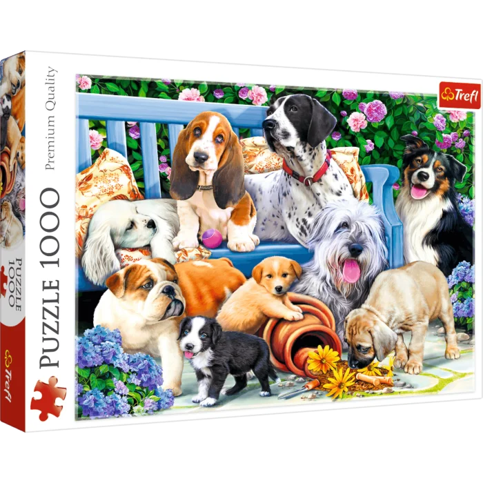 Dogs in the Garden