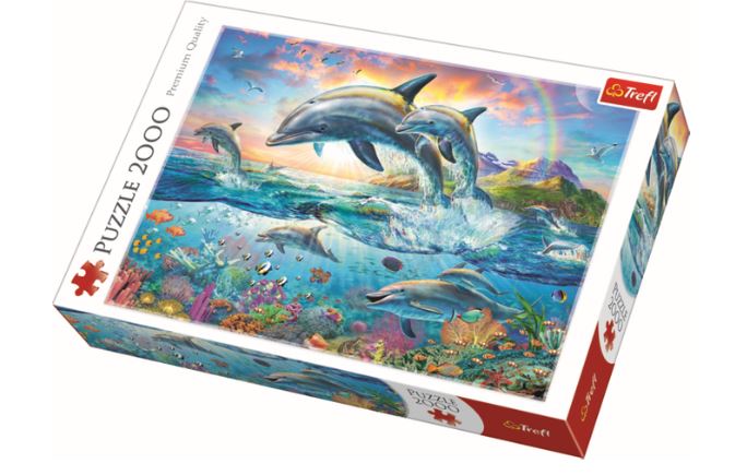 Happy Dolphins