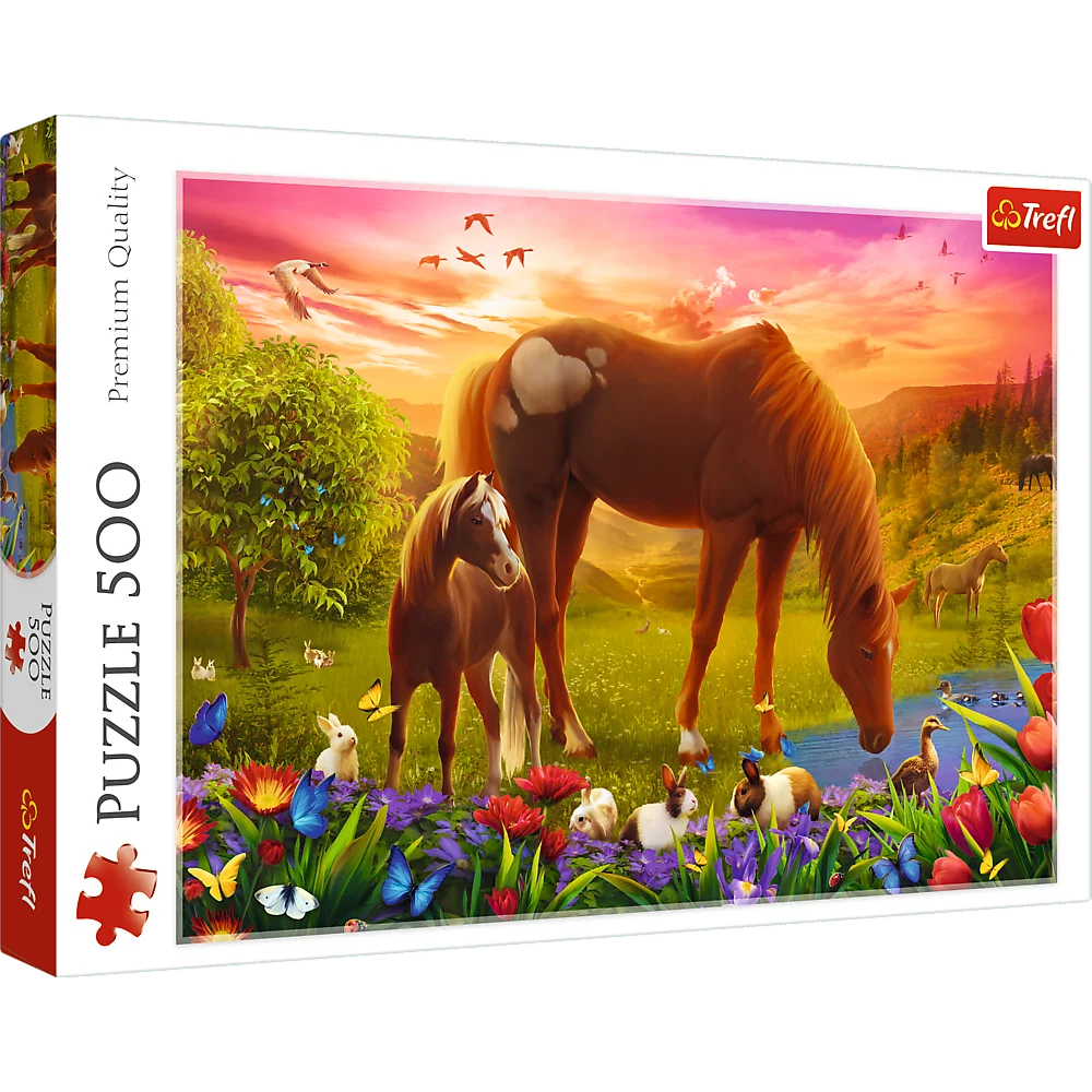 Horses in the Meadow