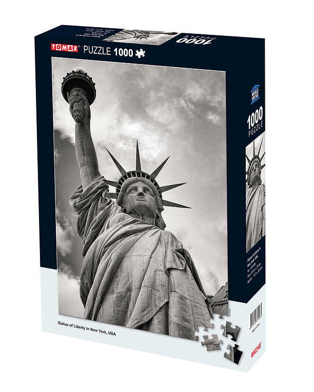 Statue of Liberty in New York. USA