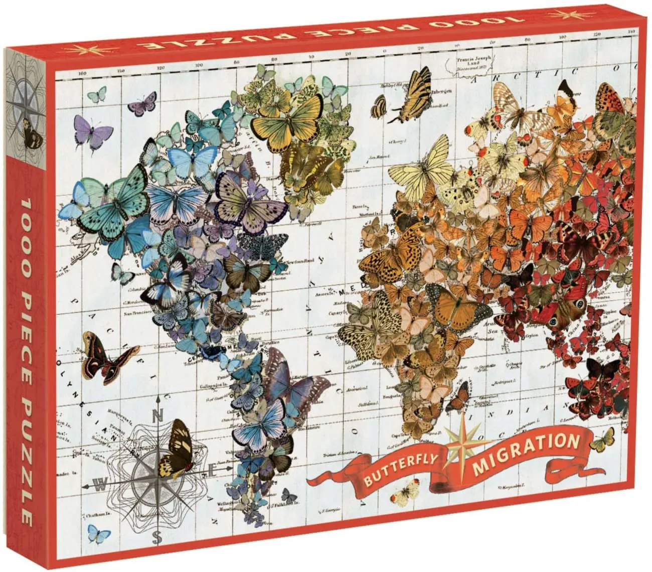 Butterfly Migration