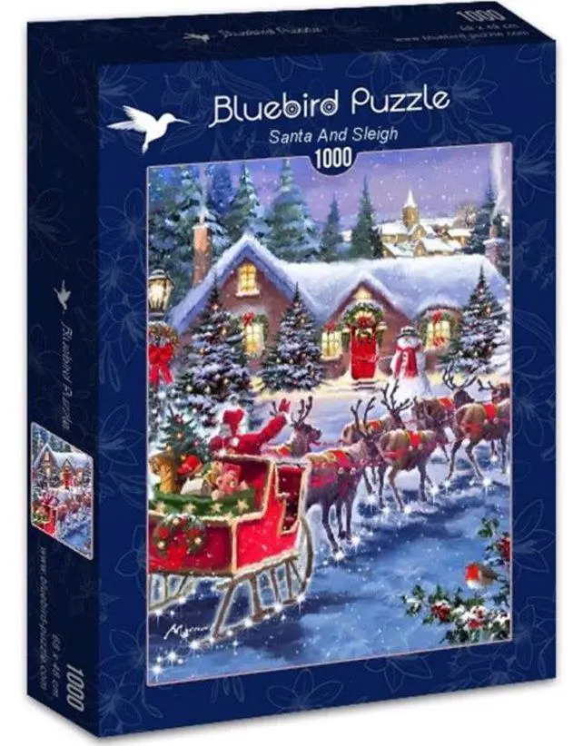 Santa and Sleigh