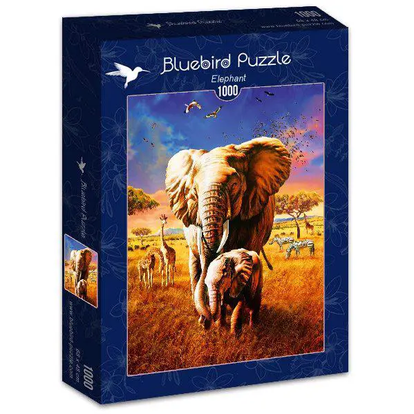 Elephant