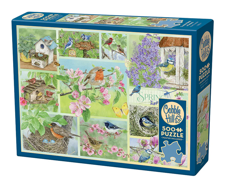 Garden Birds in Spring