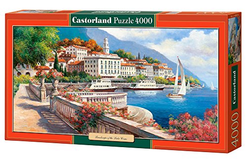 Landscape of the Lake Como