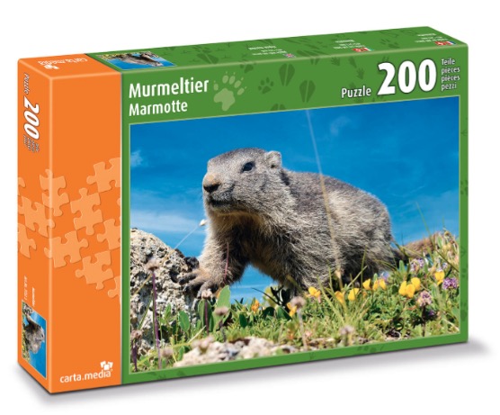Marmot