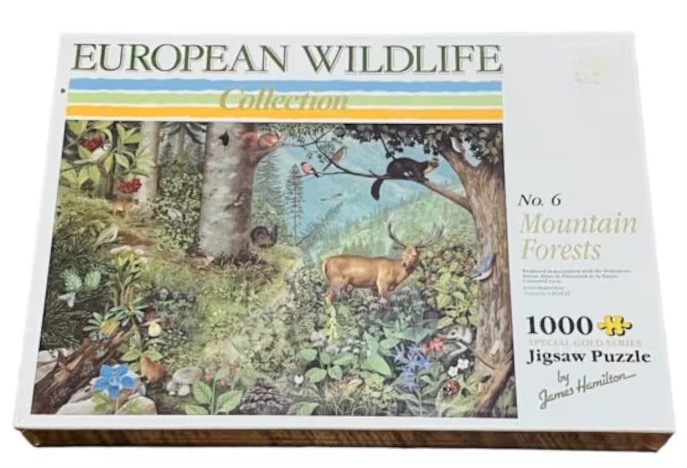 Mountain Forests No. 6