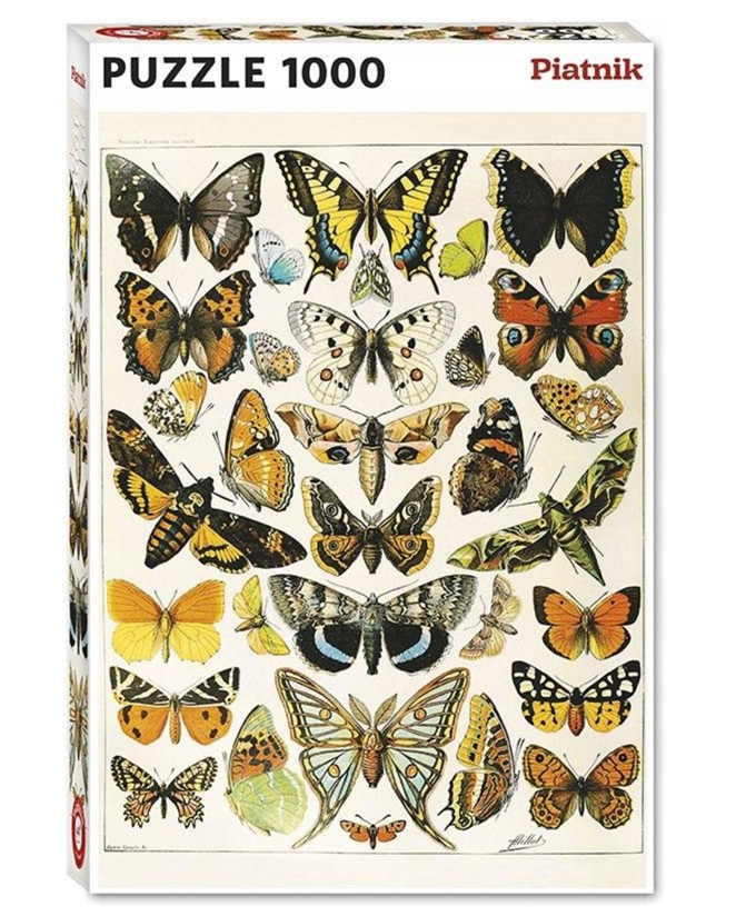Butterflies and Moths