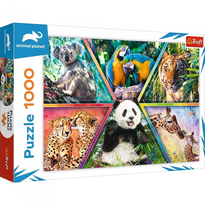Animal Kingdom