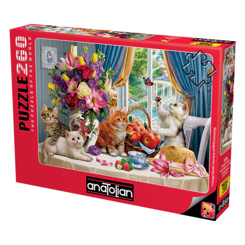 Fluffy Kittens in the Living Room