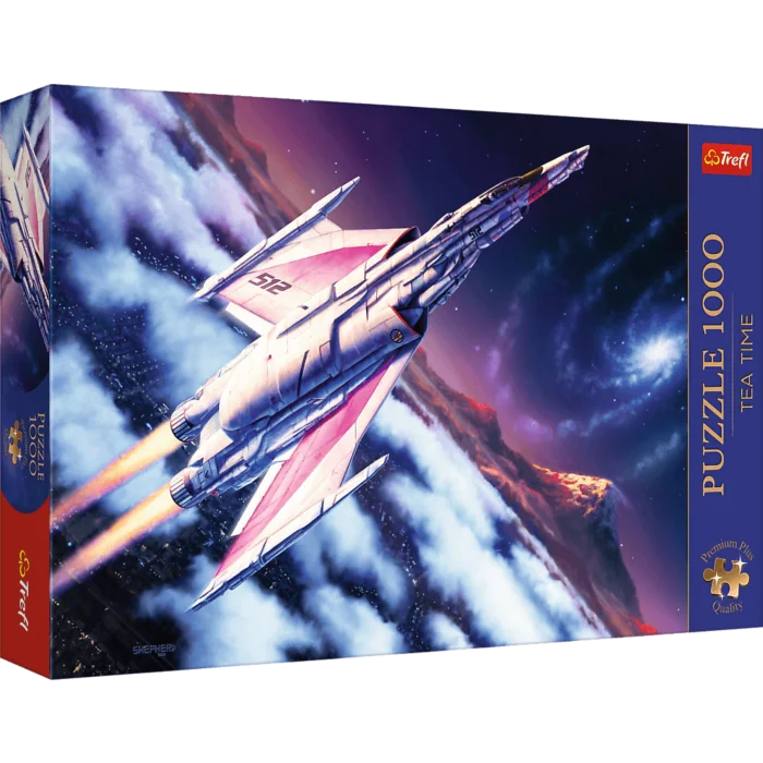 Space Flight