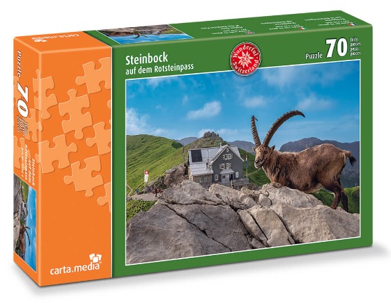 Ibex on Rotstein Pass