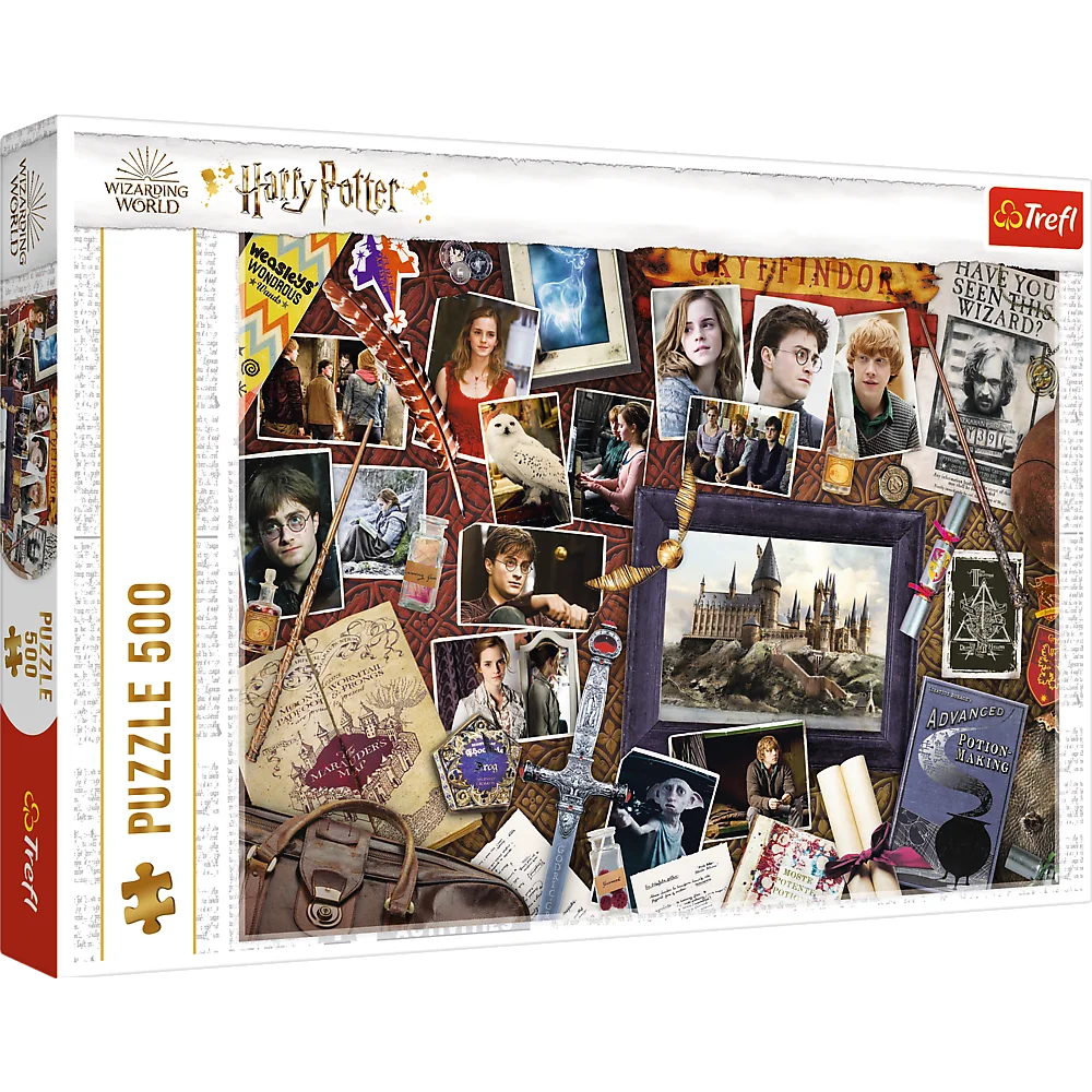 Hogwart Memories