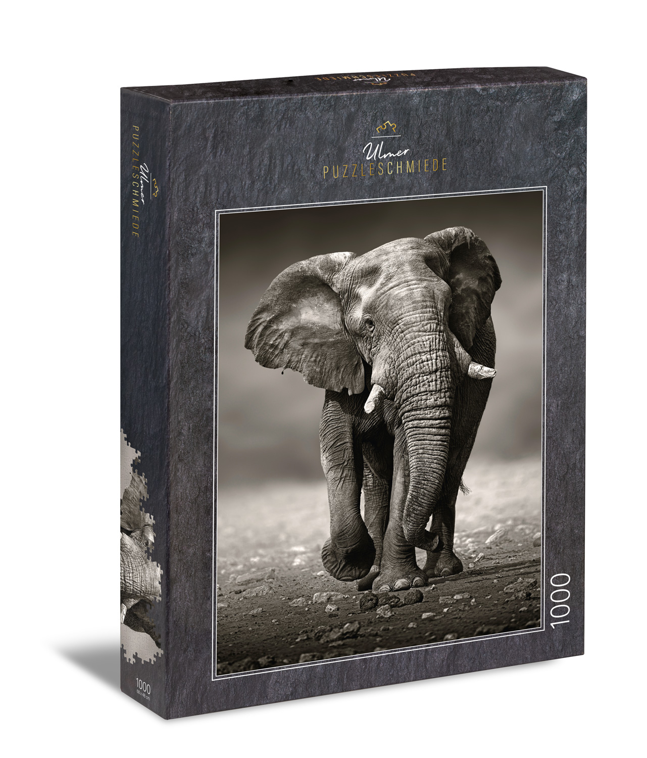The Wanderer Elephant