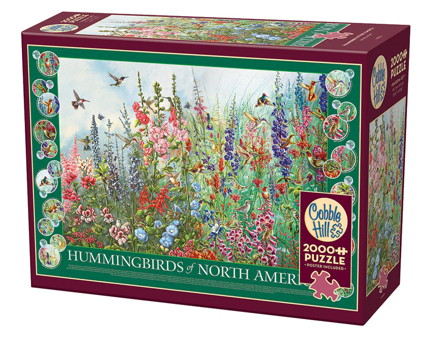 Hummingbirds of North America