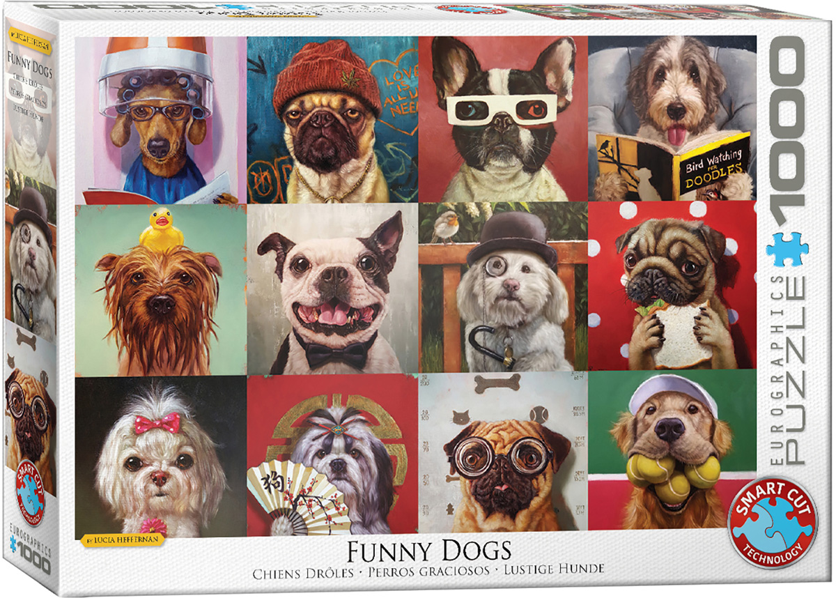 Funny Dogs