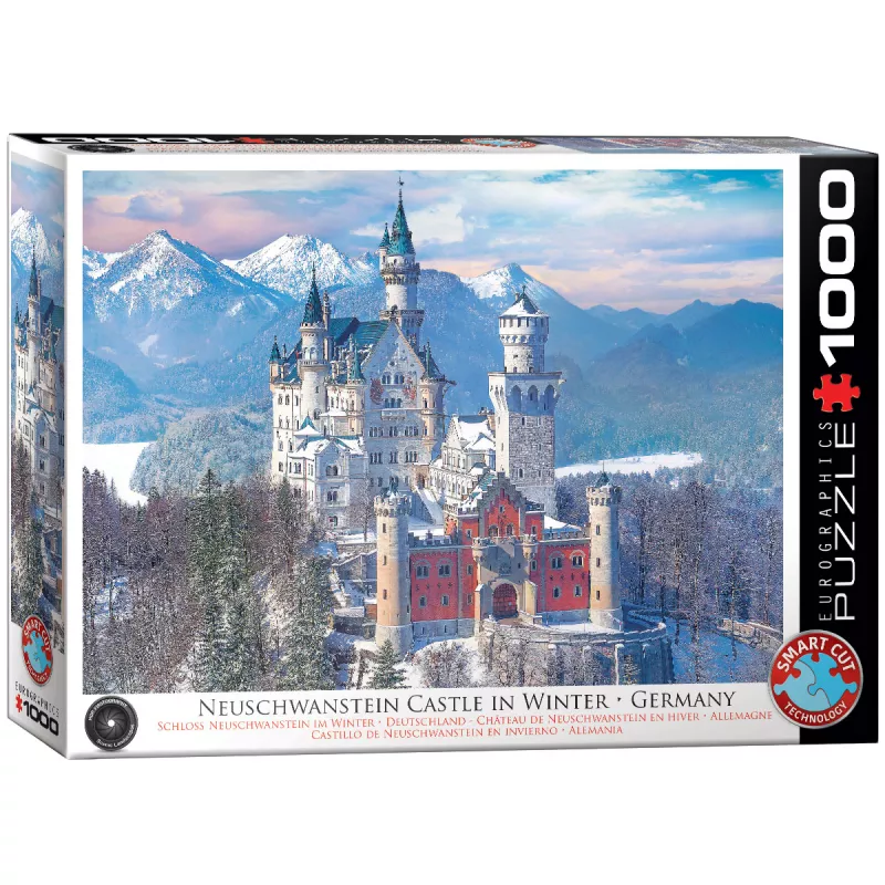 Neuschwanstein Castle in Winter, Germany