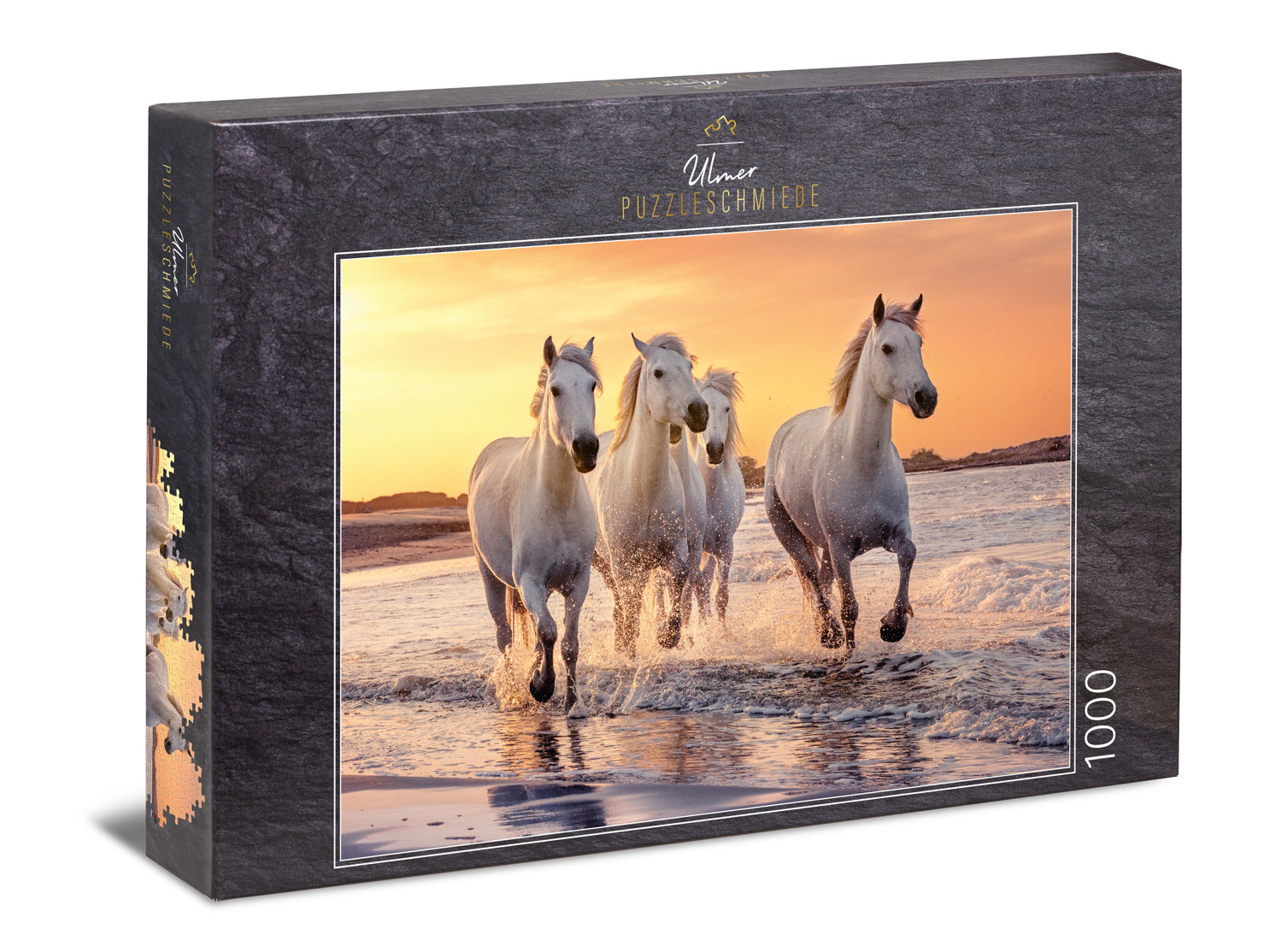 Carmague Horses